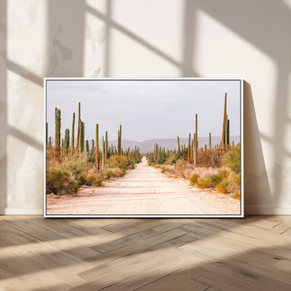 A desert road lined with saguaro cacti under a golden sky, creating a warm southwestern feel, perfect for boho or rustic decor.