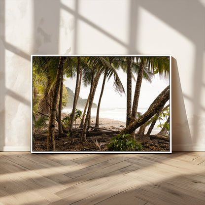 Dense tropical palm trees framing a sandy beach and ocean shore, ideal for jungle or coastal themed interior wall decor.