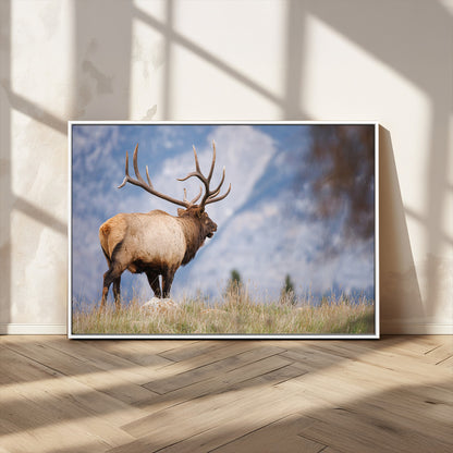 Elk with antlers standing on grass with mountain background, ideal for rustic, cabin, or lodge-inspired wall decor.