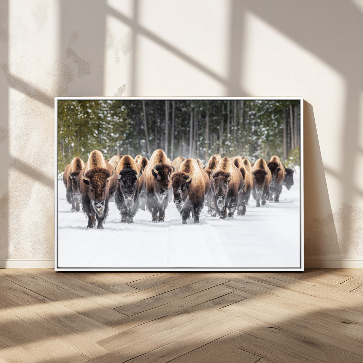 A herd of American bisons walking through a snowy forest path, perfect for rustic cabin or Western-themed wall decor.