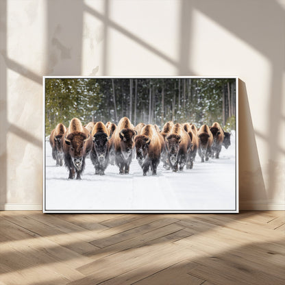 A herd of American bisons walking through a snowy forest path, perfect for rustic cabin or Western-themed wall decor.