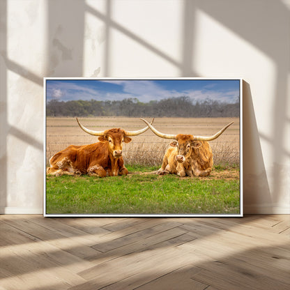 Two longhorn cows lying on green grass in front of a golden field and trees under a blue sky, perfect for rustic country wall decor.