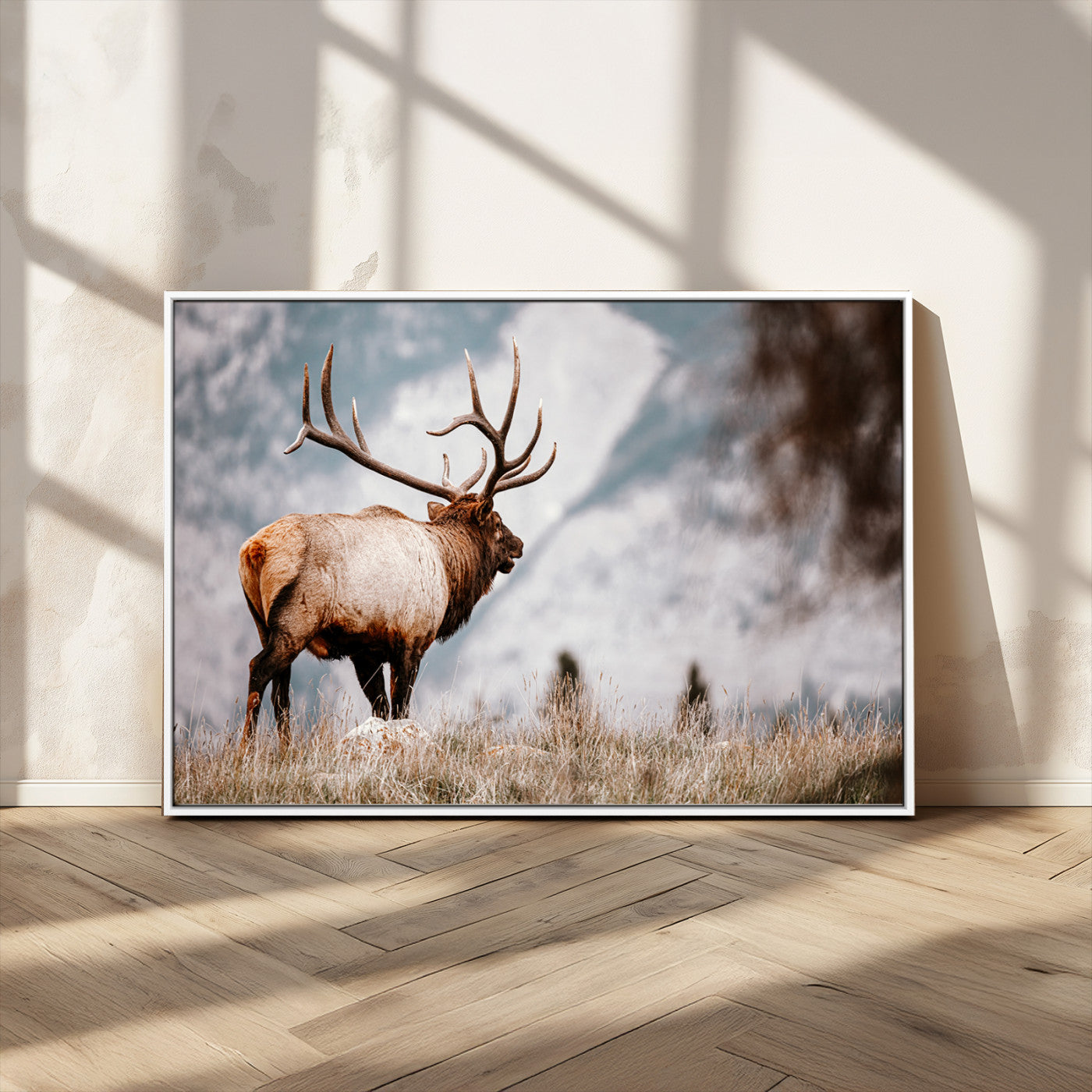 Majestic elk with large antlers standing in grass with snowy mountains in background, perfect for rustic cabin or lodge style decor.