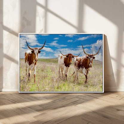 Three Texas longhorn cattle standing in dry grass under a bright blue sky, ideal for farmhouse or western rustic home decor.