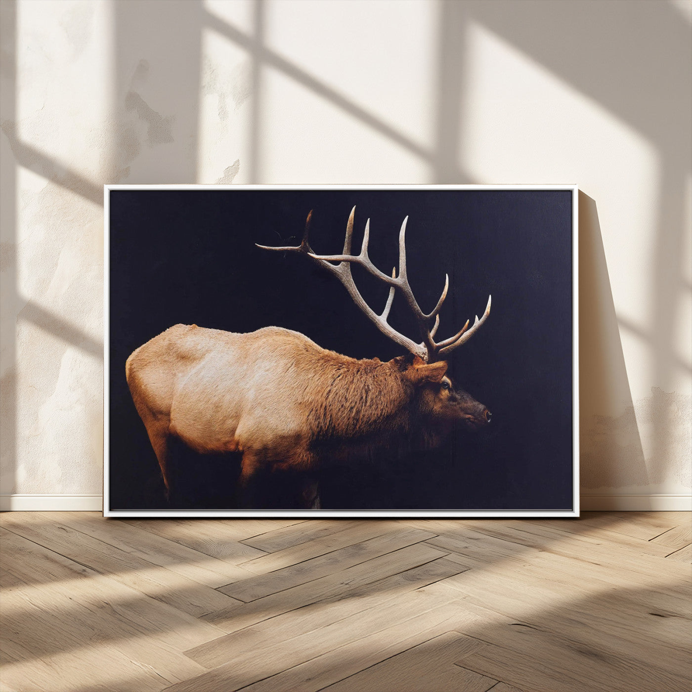 Side view of a majestic elk with large antlers against dark background, perfect for rustic lodge or cabin style home decoration.