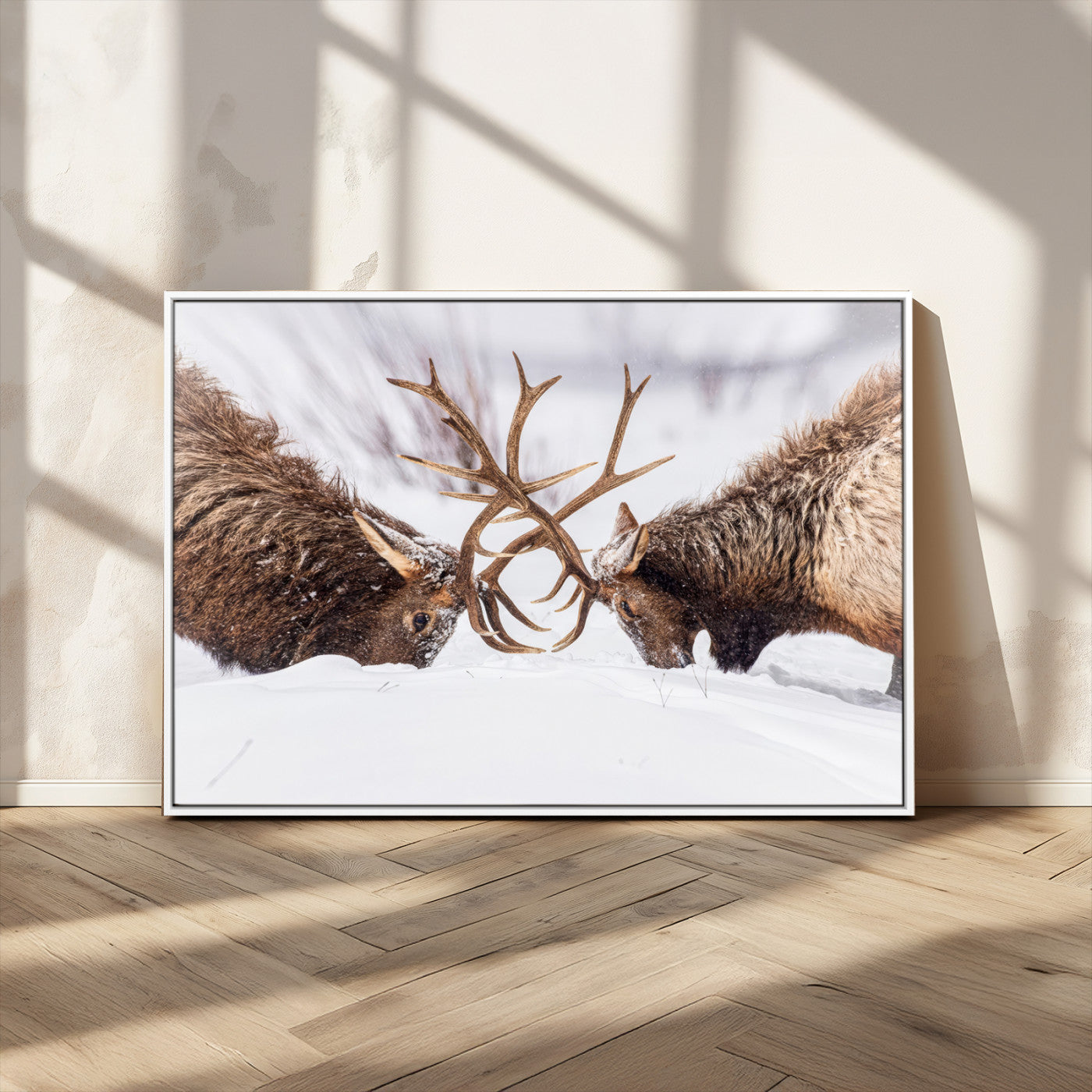 Two elk clashing antlers in a snowy forest, capturing raw power and wild energy, ideal for rustic cabin or lodge-style decor.