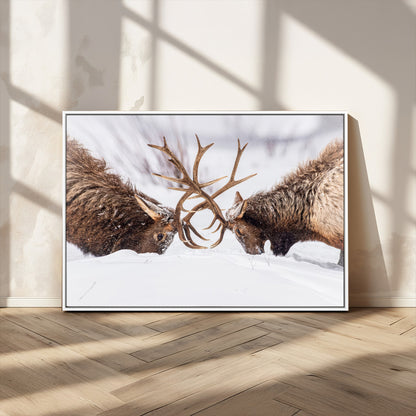 Two elk clashing antlers in a snowy forest, capturing raw power and wild energy, ideal for rustic cabin or lodge-style decor.