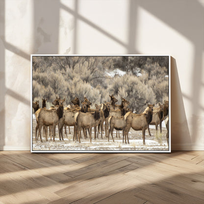 A large herd of elk standing in an open field with soft earthy tones, ideal for rustic lodge or western-themed home wall decor.