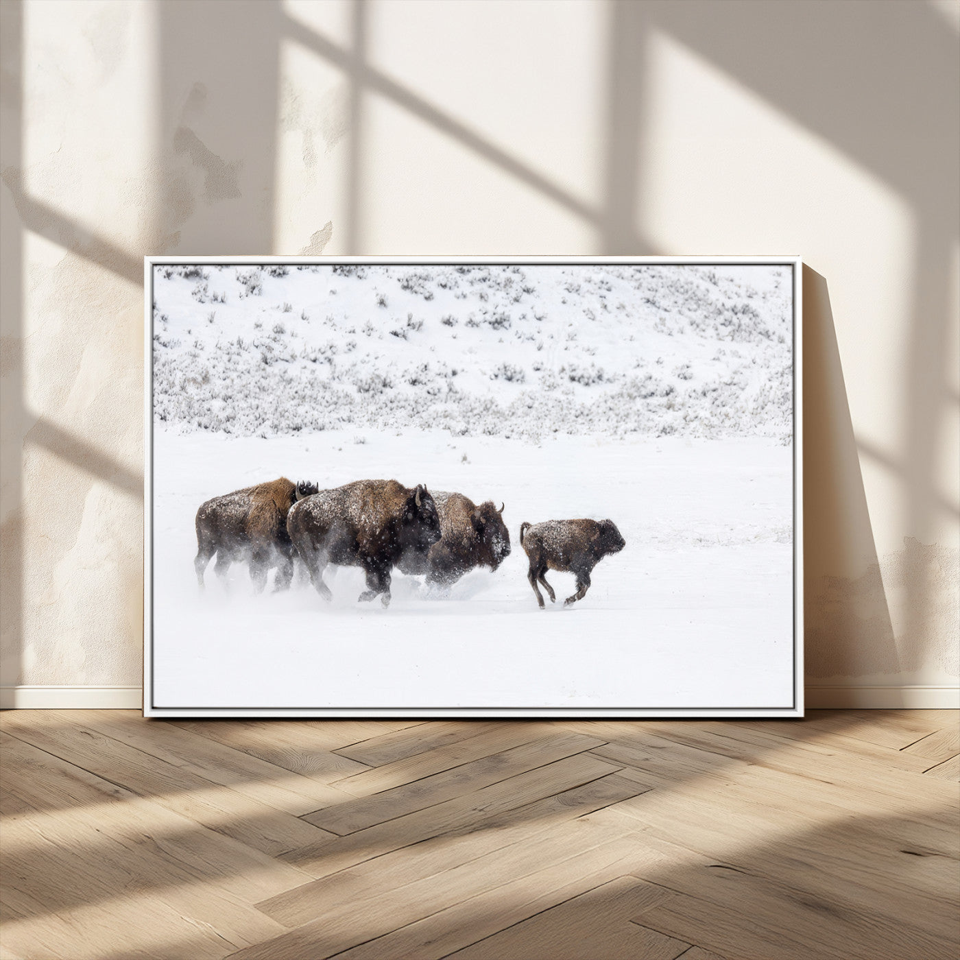 Bison herd running through a snowy open field with mountain backdrop, perfect for rustic or western-themed wall decoration.
