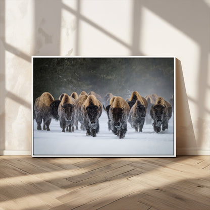 A herd of American bisons walking through deep snow in a forest, evoking a powerful rustic wilderness mood for western-style interiors.