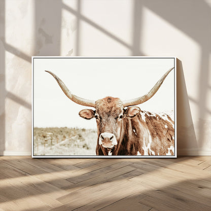 A Texas longhorn bull with wide horns, standing in a dry field under soft light, ideal for rustic farmhouse or western-themed interiors.