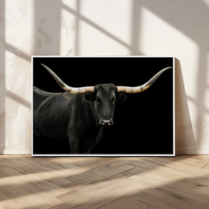 Close-up of a black Texas longhorn with large curved horns on black background, ideal for rustic farmhouse or modern western interiors.