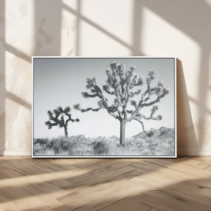 Black and white Joshua tree in a desert landscape with soft light and dry brush, perfect for rustic or minimalist home decor.