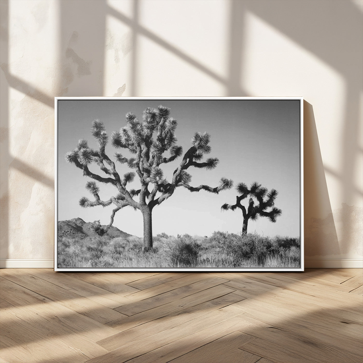 Black and white Joshua trees in a rugged desert landscape, creating a calm and minimalist feel for natural or rustic-themed interiors.