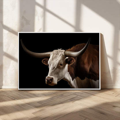 "Close-up of a brown and white longhorn cow with prominent curved horns against a black background."