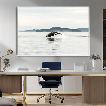 An orca jumping out of calm ocean waters with a misty island in the background, creating a serene and minimalist marine wildlife scene.