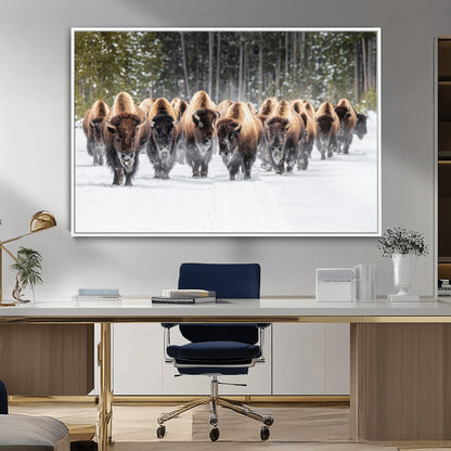 A herd of American bisons walking through a snowy forest path, perfect for rustic cabin or Western-themed wall decor.