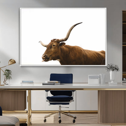 Minimal photo of a longhorn cow with white background, ideal for rustic, western or farmhouse-style interior decor.