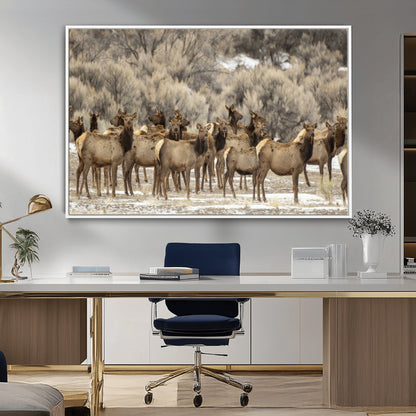 A large herd of elk standing in an open field with soft earthy tones, ideal for rustic lodge or western-themed home wall decor.