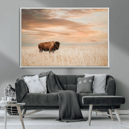 Bison Wall Art Print - Buffalo Canvas Print, featuring a lone bison in a golden prairie under a warm sunset sky, perfect for rustic and farmhouse decor.