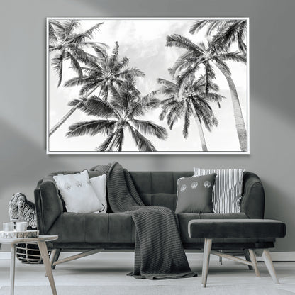 Black and white tropical palm trees viewed from below, swaying gently against a bright sky, creating a serene and elegant coastal atmosphere.