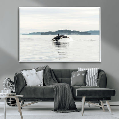 An orca jumping out of calm ocean waters with a misty island in the background, creating a serene and minimalist marine wildlife scene.