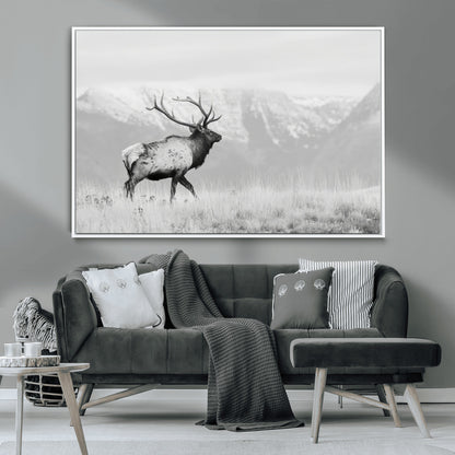 Black and white photograph of a majestic elk standing in a grassy field with snow-capped mountains in the background, creating a bold and rustic wilderness scene.