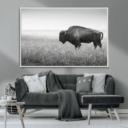 A black and white photograph of a majestic bison standing in a vast grassy prairie, evoking a sense of wilderness and strength.