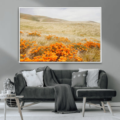 A golden field with vibrant orange poppies blooming across rolling hills under a soft, sunlit sky, creating a warm and rustic landscape.