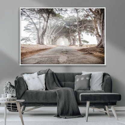 Canvas of a misty tree tunnel with arching cypress trees and an earthy road, ideal for rustic or coastal nature decor.