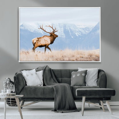 An elk walking on snowy grassland with majestic mountains in the background, ideal for rustic lodge or cabin wall decor.