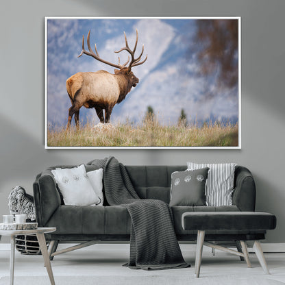 Elk with antlers standing on grass with mountain background, ideal for rustic, cabin, or lodge-inspired wall decor.