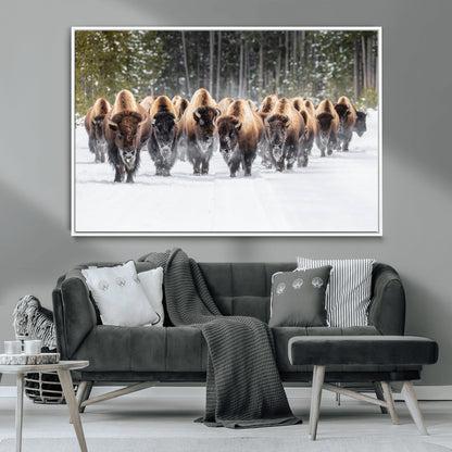 A herd of American bisons walking through a snowy forest path, perfect for rustic cabin or Western-themed wall decor.