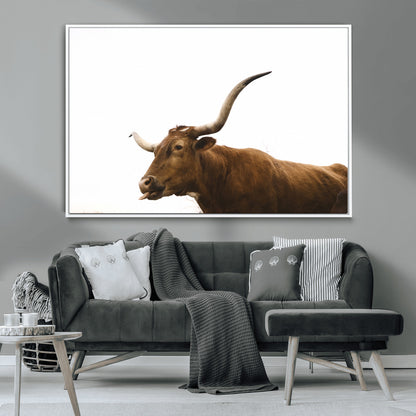 Minimal photo of a longhorn cow with white background, ideal for rustic, western or farmhouse-style interior decor.