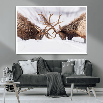 Two elk clashing antlers in a snowy forest, capturing raw power and wild energy, ideal for rustic cabin or lodge-style decor.