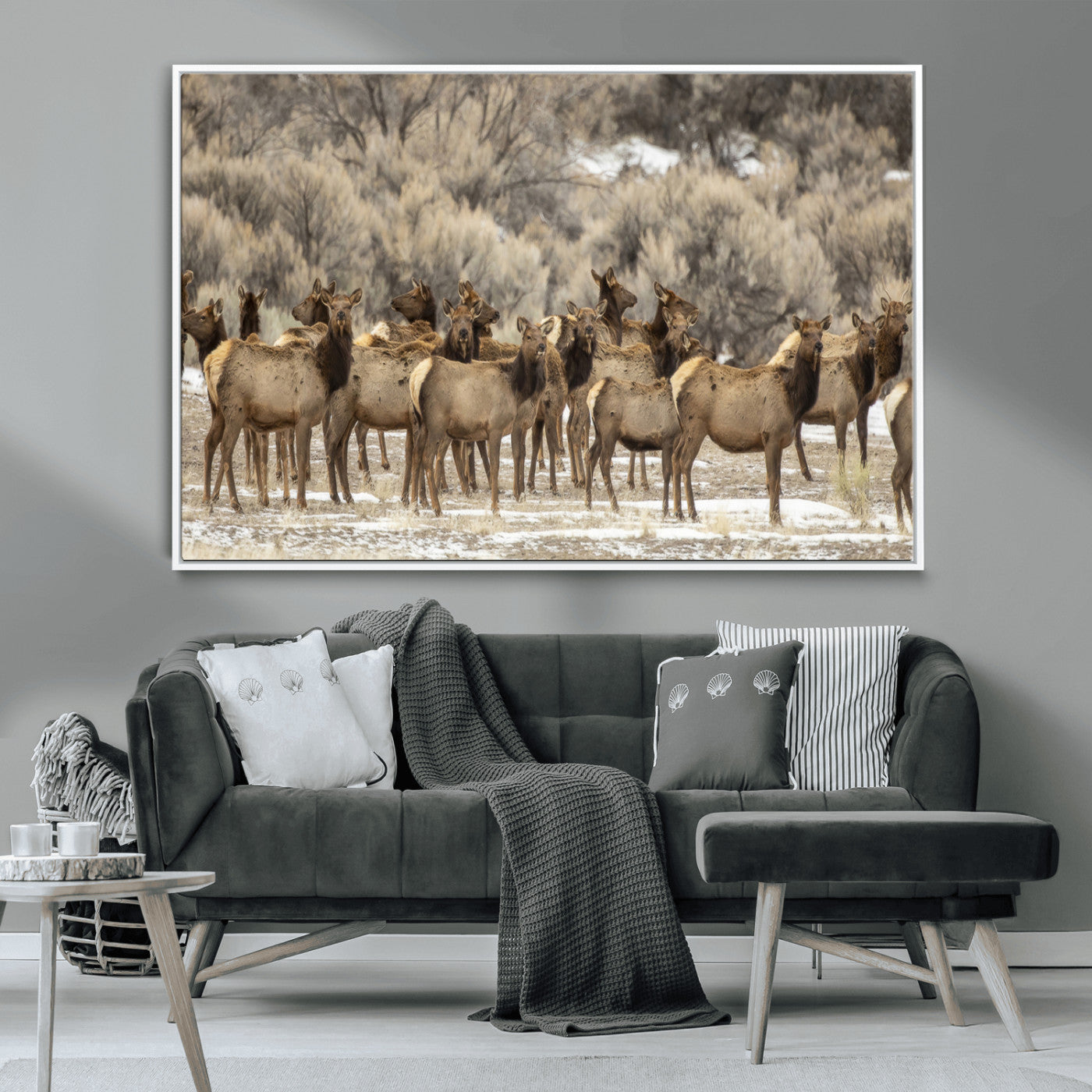 A large herd of elk standing in an open field with soft earthy tones, ideal for rustic lodge or western-themed home wall decor.
