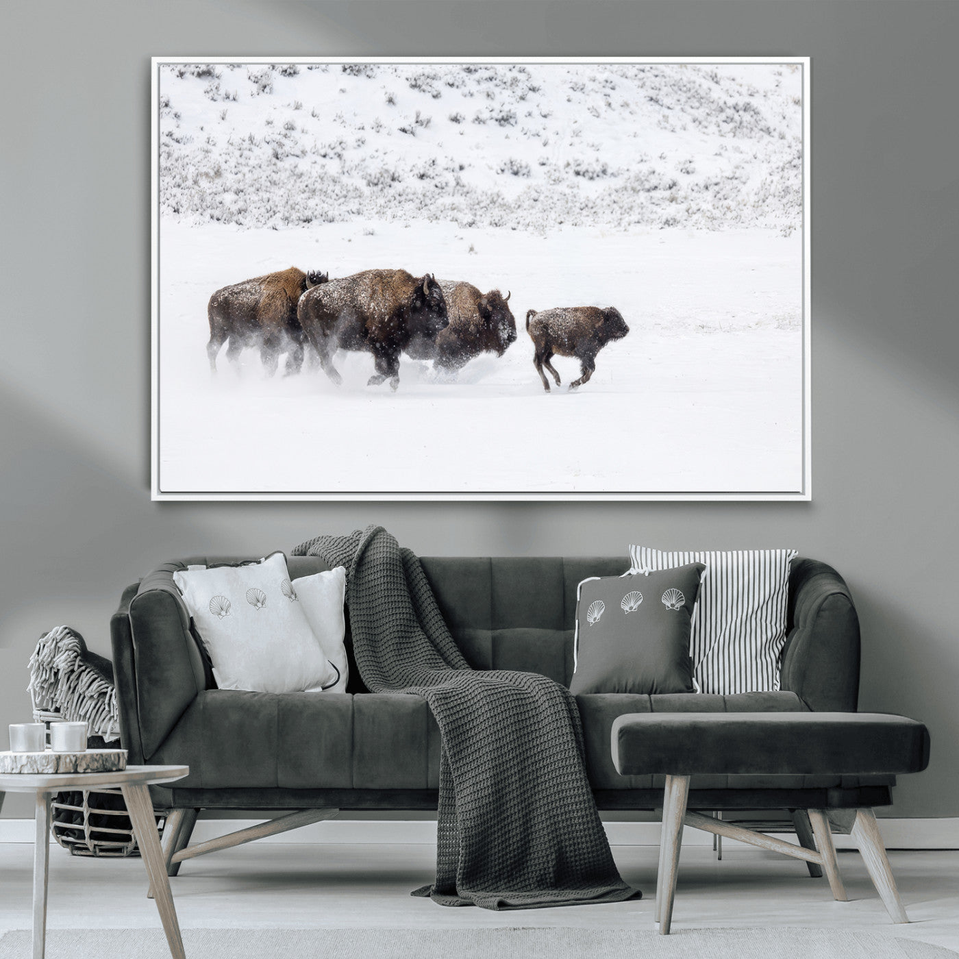 Bison herd running through a snowy open field with mountain backdrop, perfect for rustic or western-themed wall decoration.