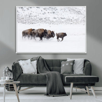 Bison herd running through a snowy open field with mountain backdrop, perfect for rustic or western-themed wall decoration.