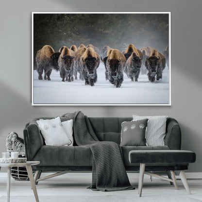A herd of American bisons walking through deep snow in a forest, evoking a powerful rustic wilderness mood for western-style interiors.