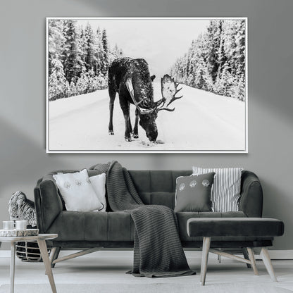 A majestic moose grazing in the snow-covered wilderness, surrounded by snow-covered trees, creating a peaceful winter scene.