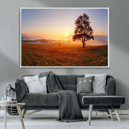 A tranquil landscape at sunrise with a mist-covered field and a lone tree, creating a peaceful and natural atmosphere.