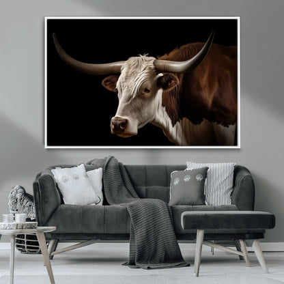 "Close-up of a brown and white longhorn cow with prominent curved horns against a black background."