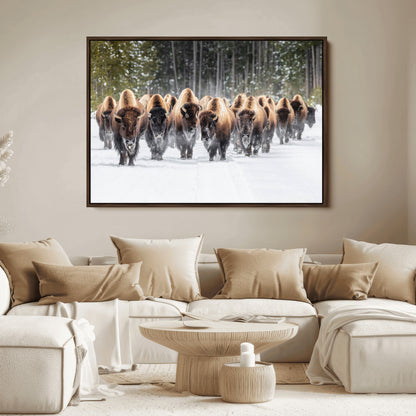 A herd of American bisons walking through a snowy forest path, perfect for rustic cabin or Western-themed wall decor.