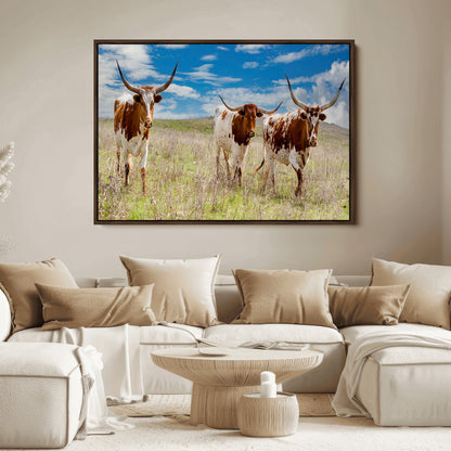 Three Texas longhorn cattle standing in dry grass under a bright blue sky, ideal for farmhouse or western rustic home decor.
