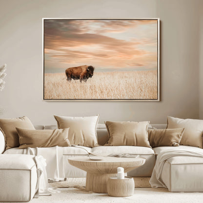 Bison Wall Art Print - Buffalo Canvas Print, featuring a lone bison in a golden prairie under a warm sunset sky, perfect for rustic and farmhouse decor.