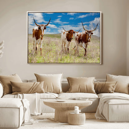 Three Texas longhorn cattle standing in dry grass under a bright blue sky, ideal for farmhouse or western rustic home decor.