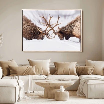 Two elk clashing antlers in a snowy forest, capturing raw power and wild energy, ideal for rustic cabin or lodge-style decor.