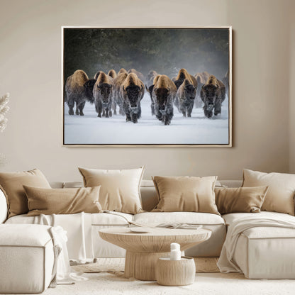 A herd of American bisons walking through deep snow in a forest, evoking a powerful rustic wilderness mood for western-style interiors.