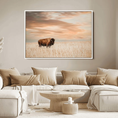 Bison Wall Art Print - Buffalo Canvas Print, featuring a lone bison in a golden prairie under a warm sunset sky, perfect for rustic and farmhouse decor.