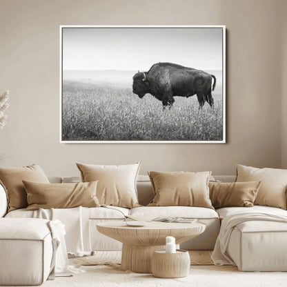 A black and white photograph of a majestic bison standing in a vast grassy prairie, evoking a sense of wilderness and strength.